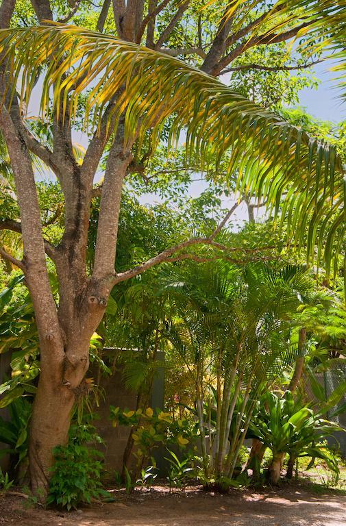 Gardens Retreat Villa Pereybere Beach Exteriör bild